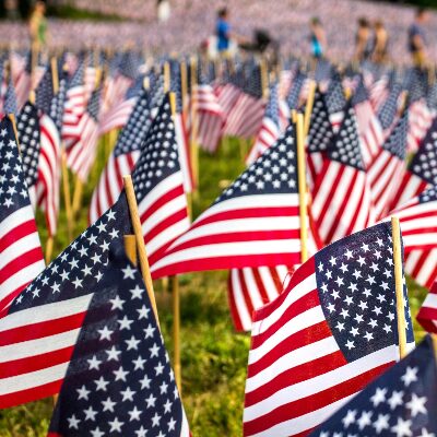 Many American flags displayed on grass.